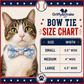 Teacher's Pet Bow Tie