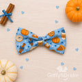 Pumpkin Spice & Everything Nice Bow Tie-BLUE